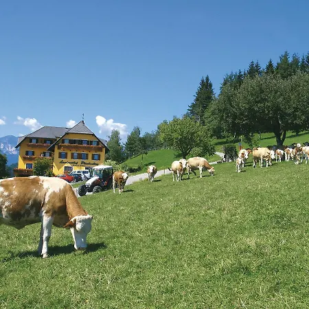 Landgasthof Ploschenberg Han/Misafirhane Kottmannsdorf
