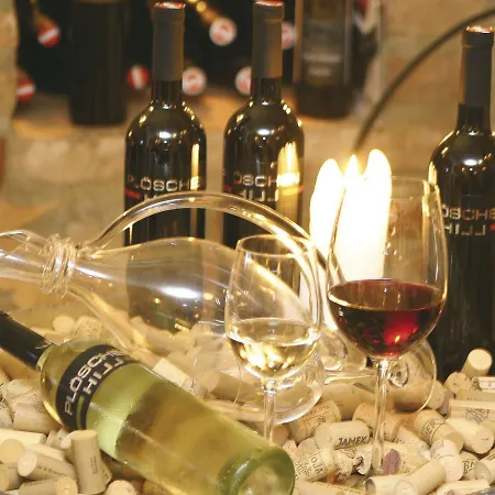 Han/Misafirhane Landgasthof Ploschenberg Kottmannsdorf